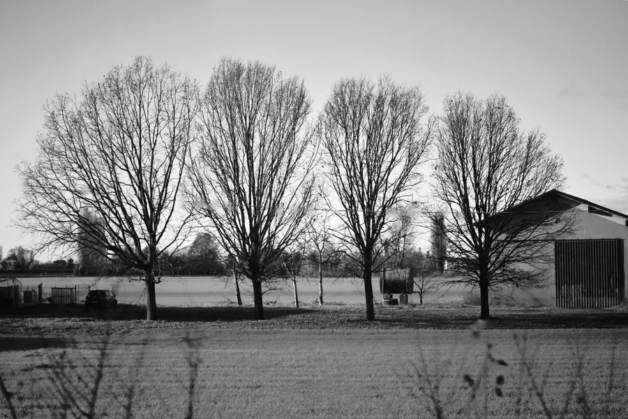 Auschwitz-Birkenau